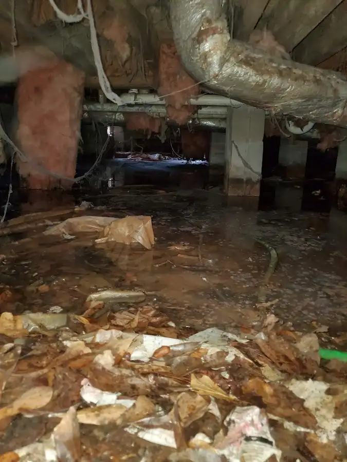 Crawl space flood assessment for Leak Detection & Repair in Clinton
